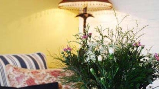 家居风水招桃花魔咒10条 命中率达百分百