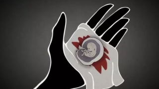 科学上婴灵真的存在吗 多久后开始报仇 一种迷信说法