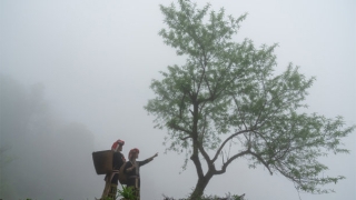 小三插足别人家庭怎么解决,民间常用的一些办法