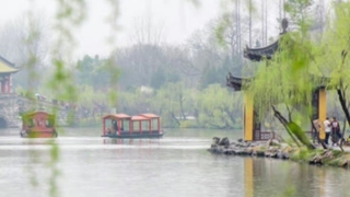 因一颗痣事业受阻怎么办,简单3招帮你化解厄运,事业获得新突破