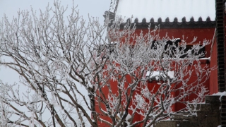 小孩惊吓过度能打安定吗?不如去试试道教收魂