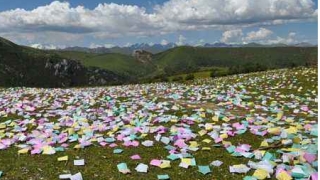 2022年最新还阴债的感应分享