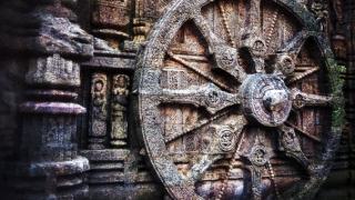 四月出生牛人为什么财运差,牛人不同月份出生的运势详解