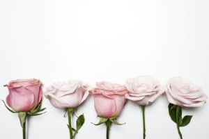 女子烂桃花多怎么办?教你3个诀窍,远离渣男