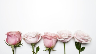 女子烂桃花多怎么办?教你3个诀窍,远离渣男