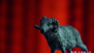 生肖运势|属羊2021年运势及运程冲太岁,2021年属羊人的全年运势