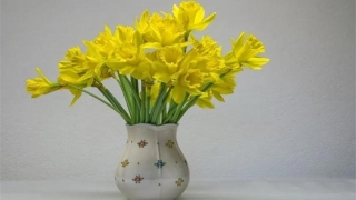 让女朋友回心转意有什么符 教你如何让女友答应复合