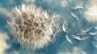 大师心水推荐 超度亡灵的经文