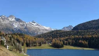 几种简单的招桃花的方式 招桃花最有效的方式