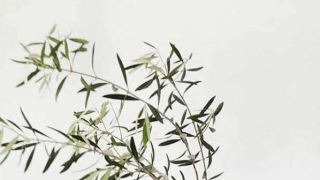 日坐财库看丈夫,夫宫临财大富大贵