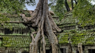 打掉胎儿灵魂会去哪里,他们会跟在父母身边