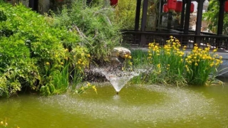 渡亡堕胎婴灵经文分享,教你如何渡亡婴灵