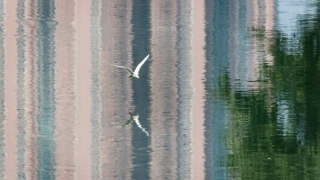 受生经经咒还阴债，不还阴债对于我们的影响很大