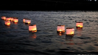 怎样还受生债？仙道贵生，无量度人！