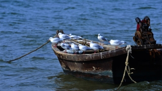 世界上真的有因果报应吗，这些都是不得不信的