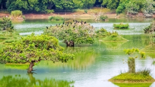 亡灵转世投胎避免我们自身受到影响