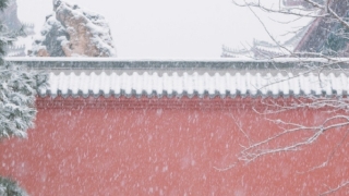 打掉胎儿后一定要渡亡,否则你会悔恨终身