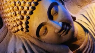 关于三个月前无婴灵说法的相关解析