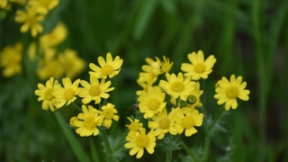 超度婴灵法事,选择合适的时机非常有必要