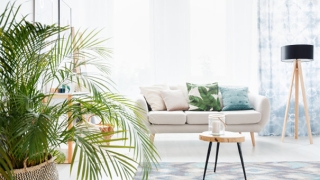 犯了风水禁忌会导致久病不愈胸闷查不出原因