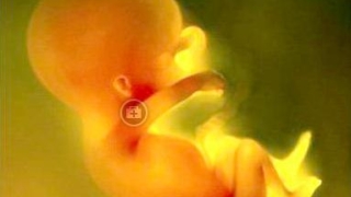 堕胎会影响现在的孩子吗？