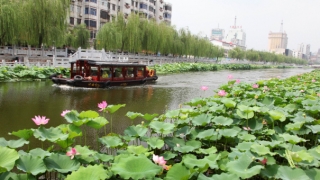 老婆是用来疼的,这些都是男人打女人的因果报应