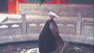 如何超度阴灵，并不是皈依佛门就可以完成