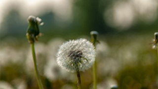搬家后久病不愈,这是因为我们居住风水出现问