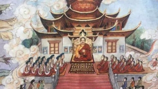 什么是补库，财库财运