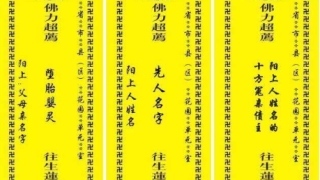 堕胎的报应这么严重，大师教你超度的方法