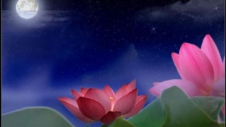 诵经回向功德超度亲人亡灵