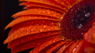 婴灵超度需要多少钱?原来婴灵报复这么严重