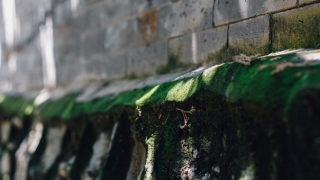 超度堕胎婴灵忏悔是关键为何超度