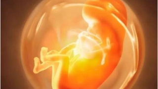 道教堕胎的果报与化解方法-超度网