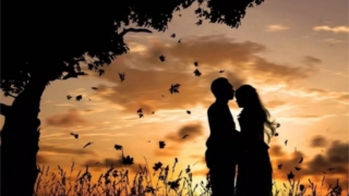 烂桃花多的人怎么化解 教你3种方法 轻松告别烂桃花