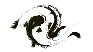 泰国补财库多少钱/财库未开