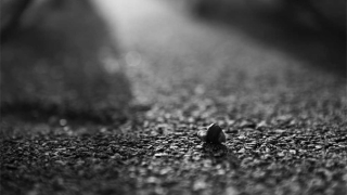 风水中初一烧香有什么讲究，关于烧香禁忌有很