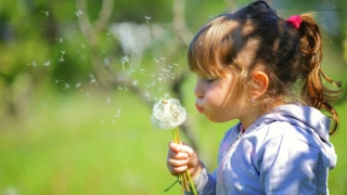 被婴灵缠身的人来告诉你，最快速的超度婴灵方