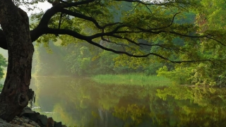 流产后怎么给孩子渡亡,很多人不知道为何流产之后需要进行渡亡仪轨