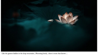 佛教如何看待补财库／身弱八字财库冲开表现