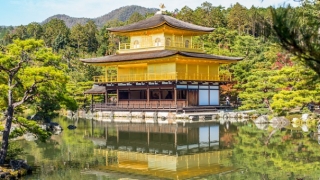 家居招财风水方法有哪些,5大招财方法让家庭财气兴旺