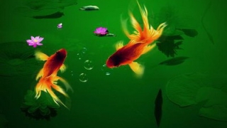 命中有财库但是没有打开？如何确定财库是否打开