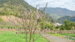 宝宝出门辟邪可以佩戴这几种辟邪之物,可保佑孩子健康平安