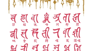 婴灵鬼魂的怨力