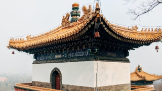 事业财运低迷如何改变,用这些方法来调整吧