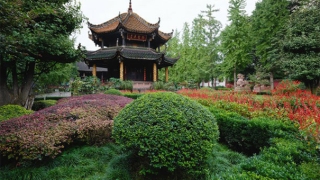 还受生债查询表,我们总是没有财运就要赶紧还阴债