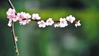 如何从根源上斩断这些烂桃花