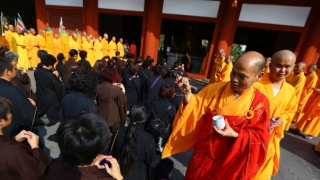 辟邪黑曜石效果就很好,经过开光的效果更佳