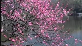 睡觉时噩梦连连容易惊醒,可能是因为中邪所导致