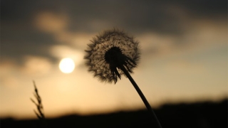 堕胎的婴灵报复,这些都是因为婴灵所引起的